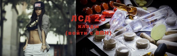 ГАЛЛЮЦИНОГЕННЫЕ ГРИБЫ Пересвет