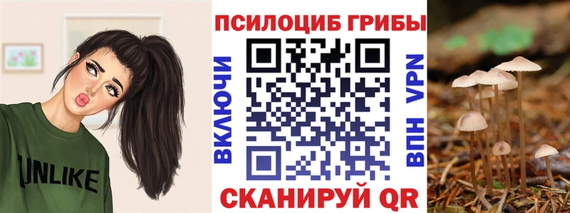 наркошоп  Ковдор  Псилоцибиновые грибы прущие грибы 
